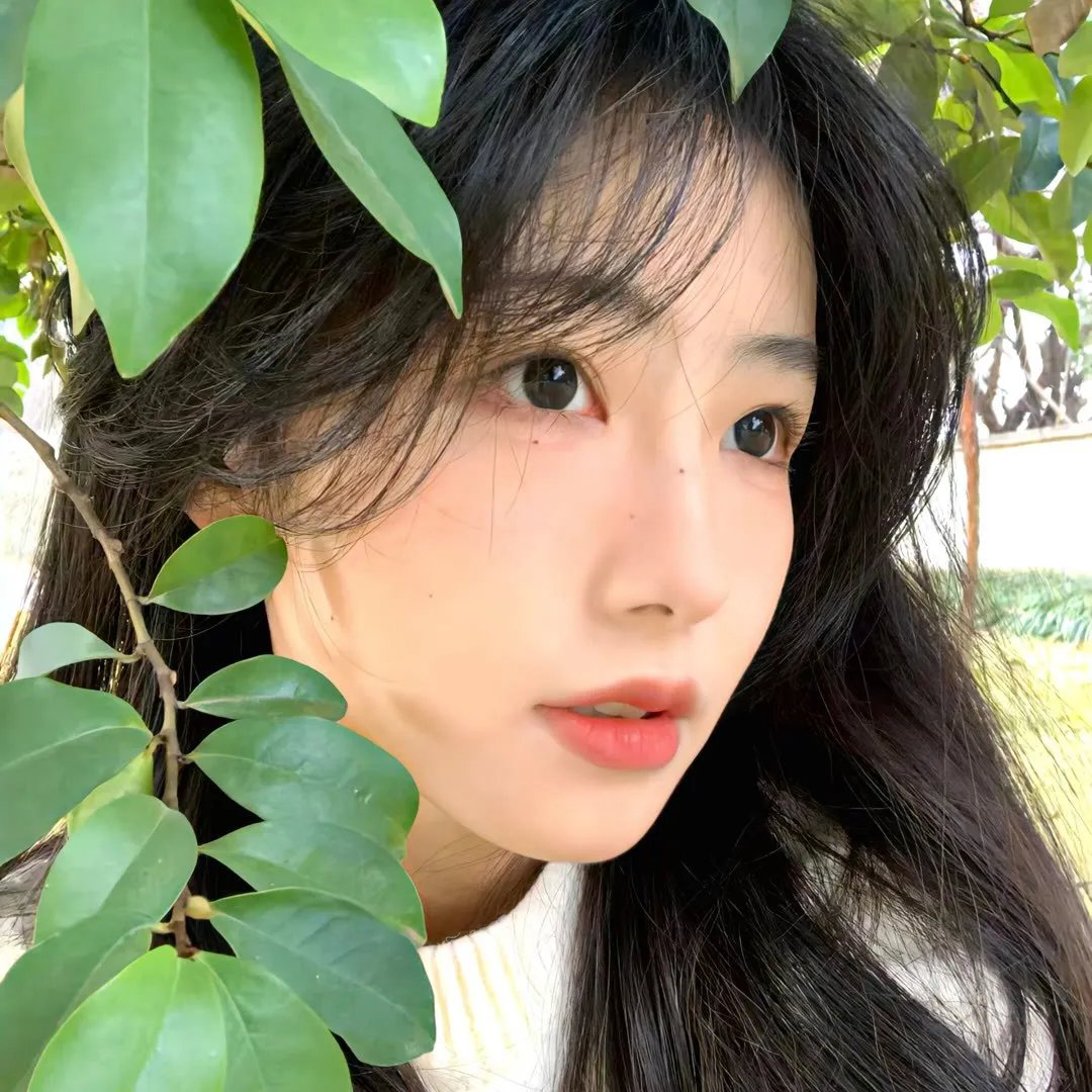 完美家伙